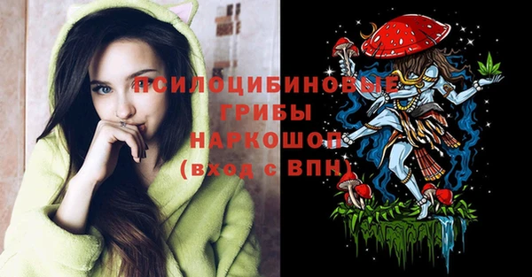 МДПВ Кулебаки