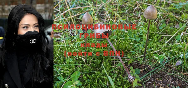 PSILOCYBIN Куйбышев