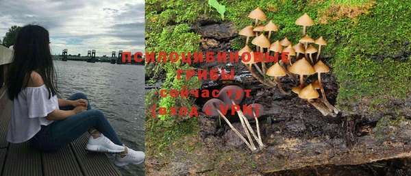 PSILOCYBIN Куйбышев
