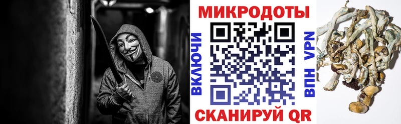 Галлюциногенные грибы GOLDEN TEACHER кракен как войти Ленинградская